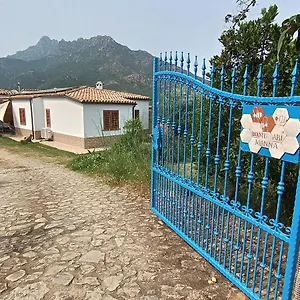 Casa vacanze Domu Abi Manna, Tertenìa